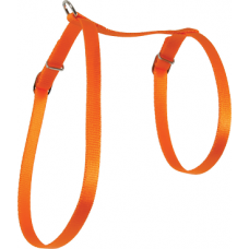 Zolux Adjustable Nylon Harness Bright Orange, 546132ORA, cat Collar / Leash / Muzzle, Zolux, cat Accessories, catsmart, Accessories, Collar / Leash / Muzzle